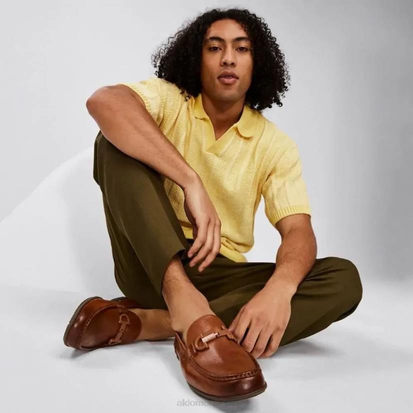 Aldo footwear sale VD8R5560 Aldo orlovoflex chaussure de conduite pour hommes autre marron mode